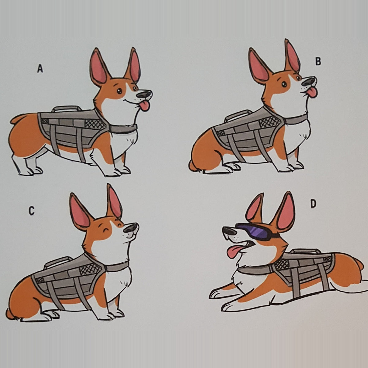 Jim Elston's original corgi sketches for Patch Fiend, four poses of a corgi in a tactical vest