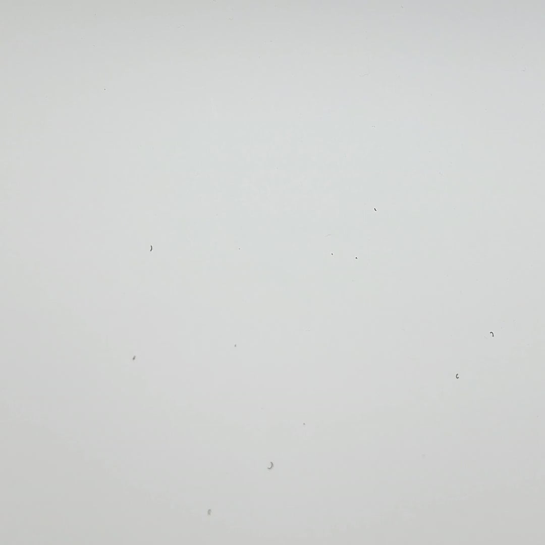 Shocker Donuts PVC Morale Patch video